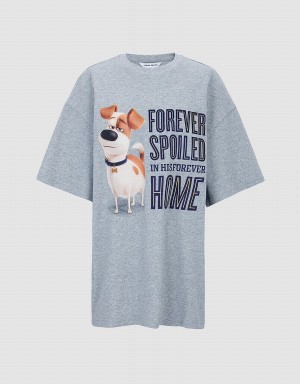 Urban Revivo The Secret Life Of Pets Oversized Women's T Shirts Yellow | QIV7825TF