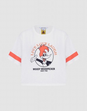 Urban Revivo Woody Woodpecker Crop Women's T Shirts Pink White | MDM6475BM